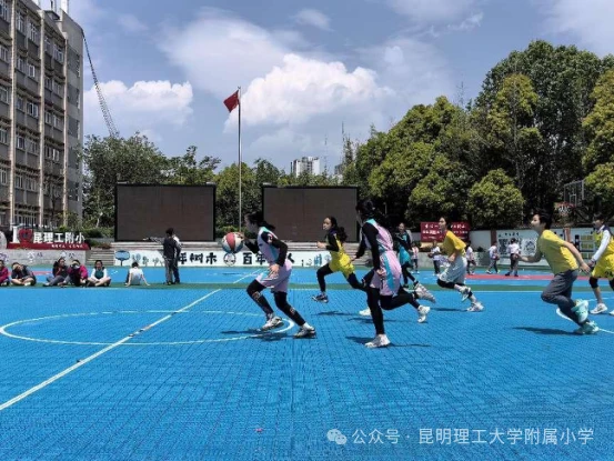 篮球训练法读后感怎么写_0